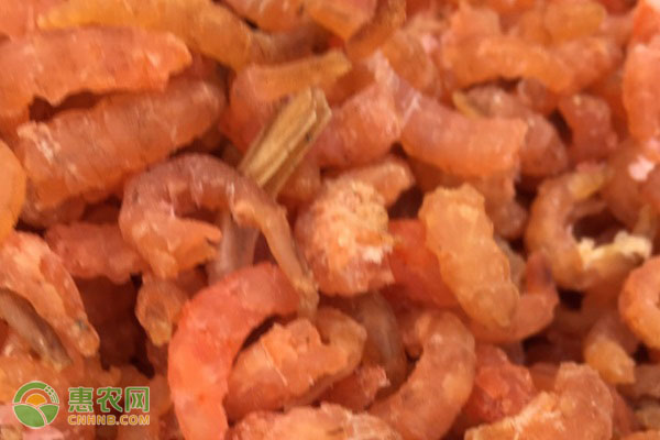 海米和虾皮的区别是什么？