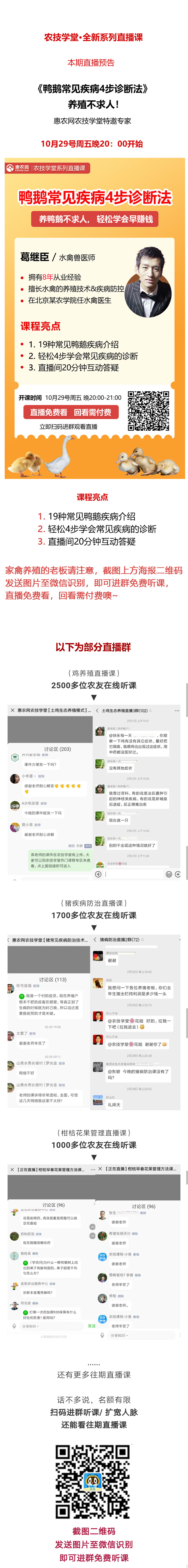限時免費！鴨鵝常見疾病4步診斷法直播課來了！-圖片版權(quán)歸惠農(nóng)網(wǎng)所有
