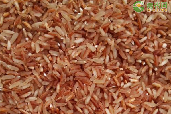 胭脂米是什么米？
