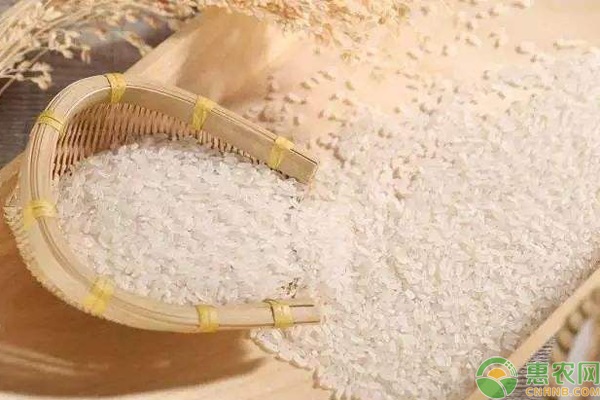 富晒米是什么米？和普通米的区别在哪？