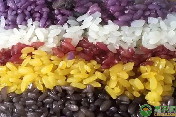 五色米是哪五种颜色？都是哪几种米？
