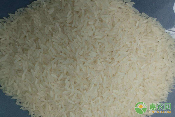 柬埔寨香米和柬埔寨白米有什么区别？优质大米执行标准是什么？