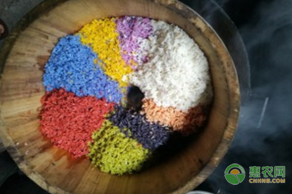 七彩米有哪些品种？