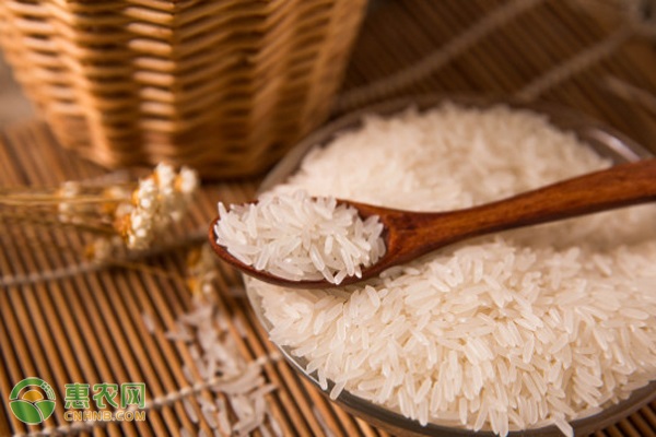 巴斯马蒂白香米产地在哪？印度香米为什么体形更长？