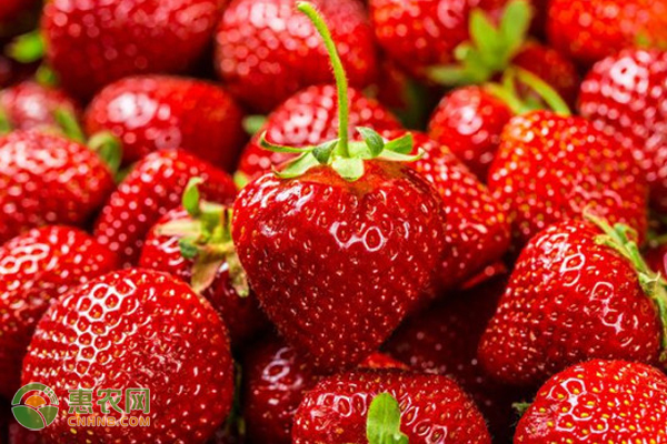吃草莓的季节是几月份？如何才能把草莓清洗干净？