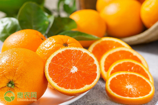 橙子有哪些品种？