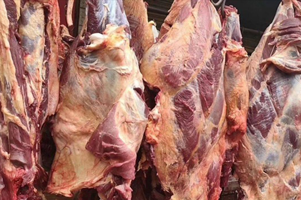 羊腿肉批发价格多少钱一斤？前腿和后腿哪个好？
