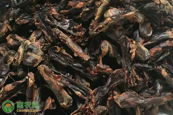 牛肉干的加工方法-圖片版權(quán)歸惠農(nóng)網(wǎng)所有