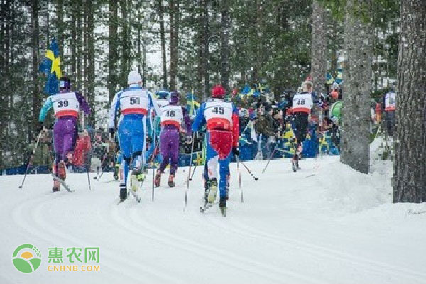 2022北京冬奥会是第几届冬奥会？冬奥会为何从未在南半球举办过？