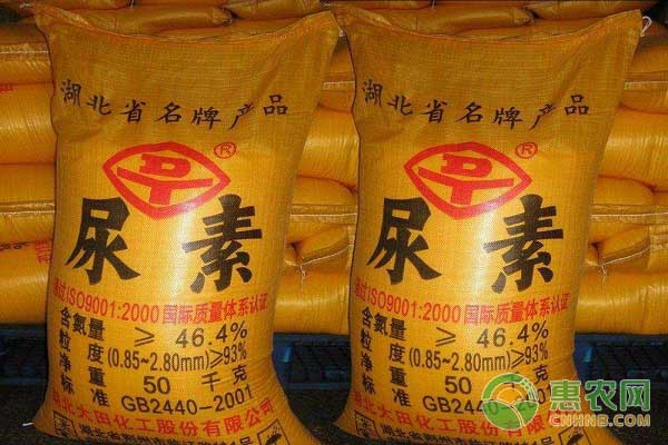 尿素怎么施效果好？-图片版权归惠农网所有
