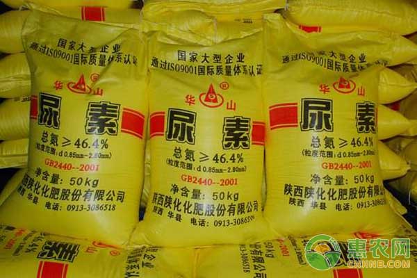 尿素怎么施效果好？-图片版权归惠农网所有