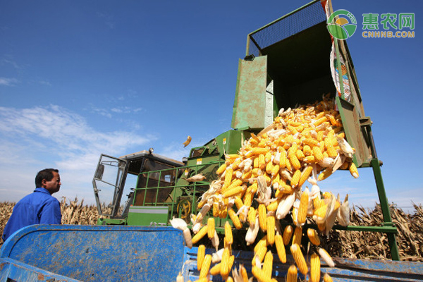 种植一亩玉米的成本和利润