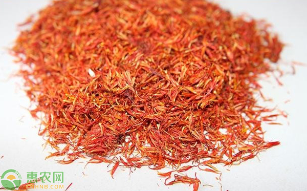 中草藥紅花如何栽培？-圖片版權(quán)歸惠農(nóng)網(wǎng)所有