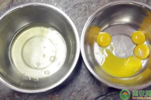 怎么分离蛋清和蛋黄？