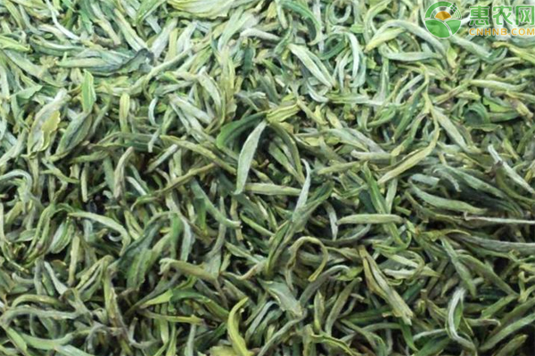 黄山毛峰茶叶多少钱一斤？