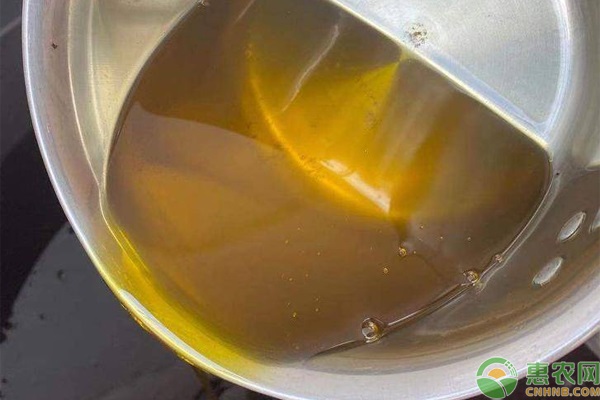 安徽山茶油价格多少钱一斤？