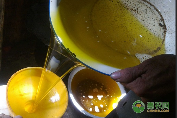 安徽山茶油价格多少钱一斤？