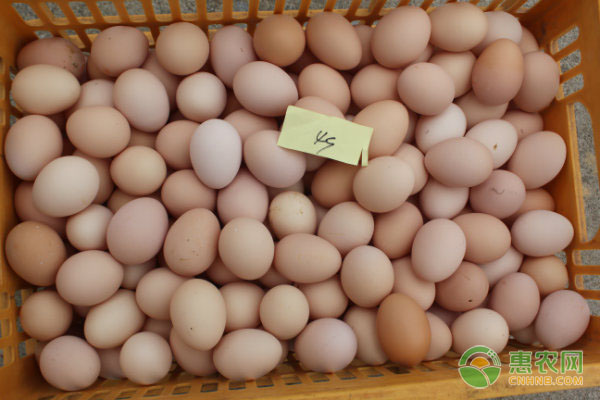 现在市场上鸡蛋价格多少钱一斤？