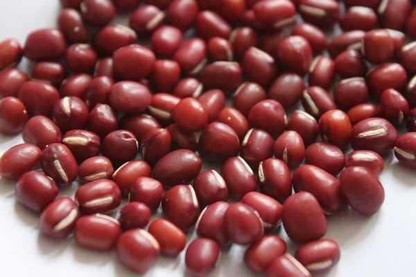 红小豆种植产地介绍