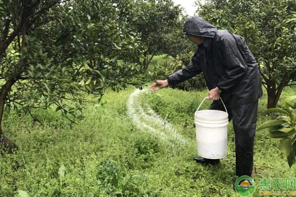 果树施肥常见的8种方式-图片版权归惠农网所有