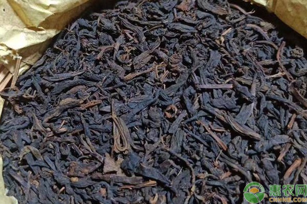黑茶有哪些品种？