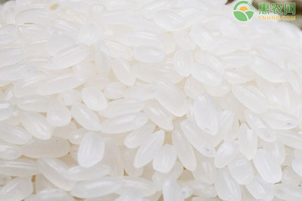 大米价格2023年是涨是跌？现在大米多少一斤？