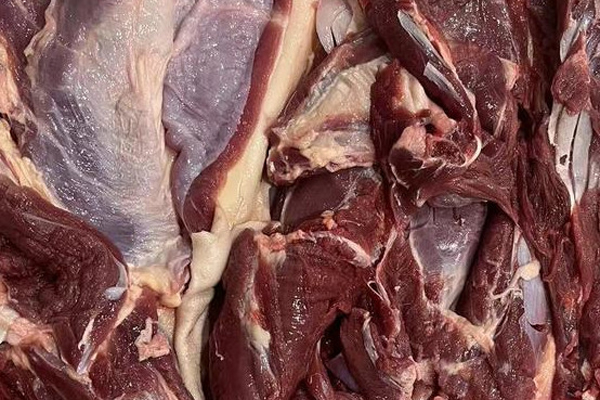 2023羊肉价格最新多少钱一斤？