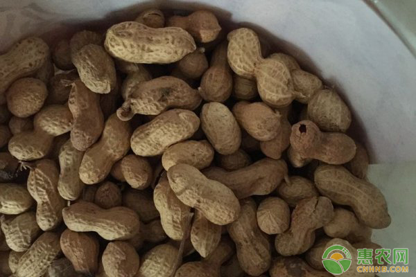 4月花生价格多少钱一斤?
