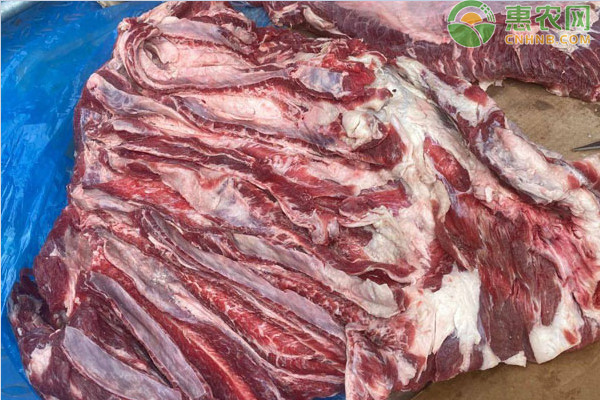 6月牛肉最新价格多少钱一斤?