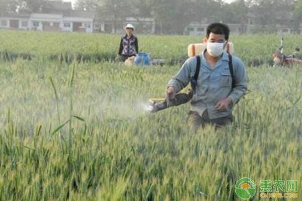 夏季高溫噴施農(nóng)藥的注意事項(xiàng)-圖片版權(quán)歸惠農(nóng)網(wǎng)所有