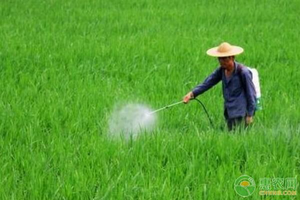 夏季高溫噴施農(nóng)藥的注意事項(xiàng)-圖片版權(quán)歸惠農(nóng)網(wǎng)所有