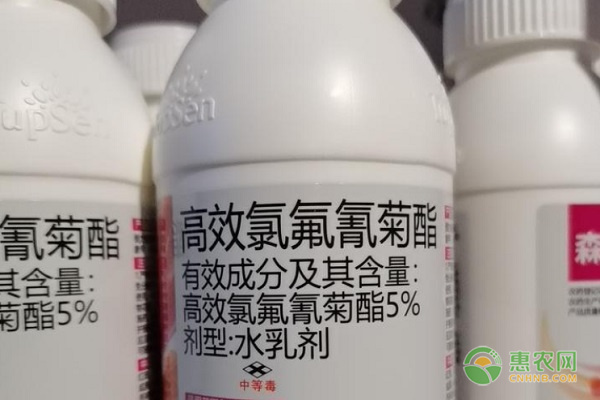 40斤水兌多少高效氯氟氰菊酯？-圖片版權歸惠農網所有