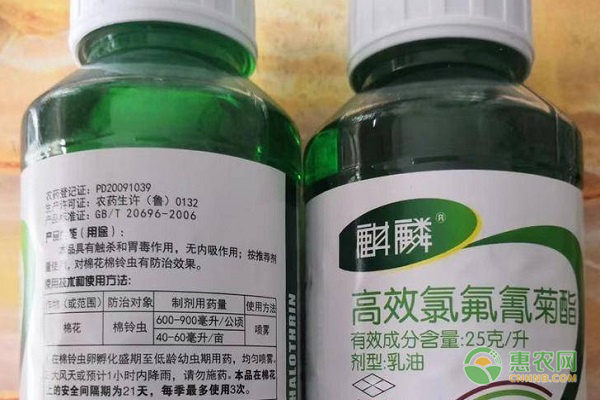 高效氯氟氰菊酯的禁忌-圖片版權(quán)歸惠農(nóng)網(wǎng)所有