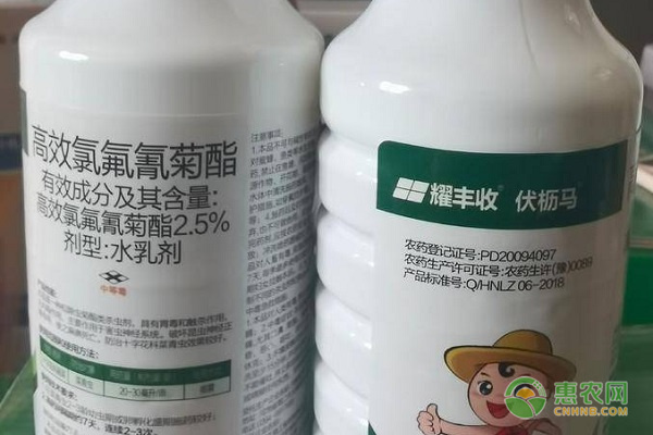 40斤水兌多少高效氯氟氰菊酯？-圖片版權歸惠農網所有
