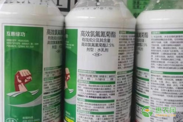 氯氟氰菊酯主治什么蟲？-圖片版權(quán)歸惠農(nóng)網(wǎng)所有