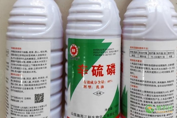 小麥播前用什么拌種劑好？-圖片版權(quán)歸惠農(nóng)網(wǎng)所有