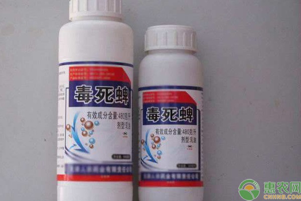 小麥播前用什么拌種劑好？-圖片版權(quán)歸惠農(nóng)網(wǎng)所有