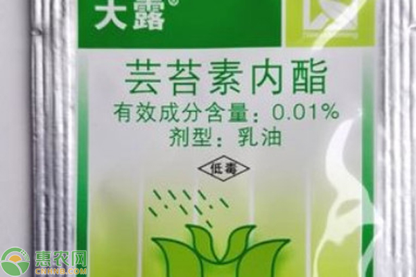 28表高蕓苔素內酯的使用方法-圖片版權歸惠農網(wǎng)所有