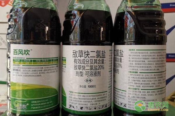 敌草快优缺点及使用事项-图片版权归惠农网所有
