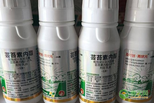 蕓苔素內酯的作用是什么？-圖片版權歸惠農網所有