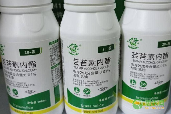 蕓苔素內酯的作用是什么？-圖片版權歸惠農網所有