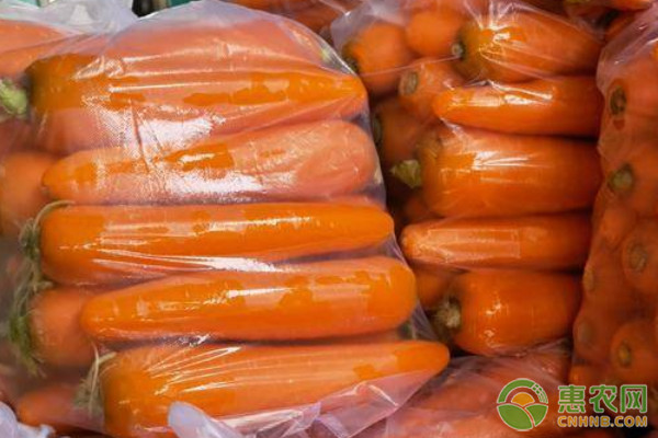 胡萝卜什么时候种植最好？-图片版权归惠农网所有