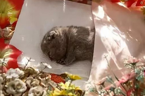 10个暴利小生意创业