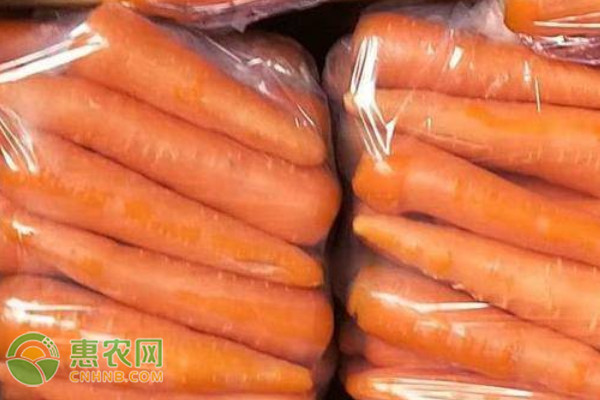 胡蘿卜種植方法和管理-圖片版權(quán)歸惠農(nóng)網(wǎng)所有