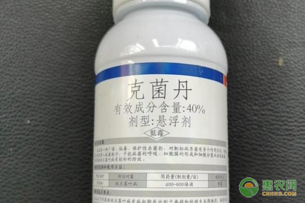 克菌丹的作用和用途-圖片版權(quán)歸惠農(nóng)網(wǎng)所有