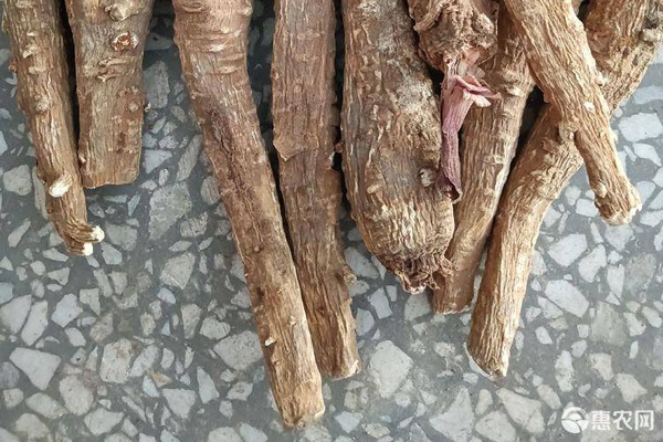 白芷種植方法-圖片版權歸惠農(nóng)網(wǎng)所有