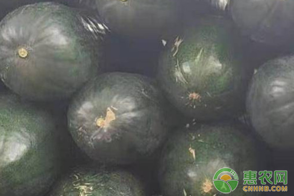 冬瓜種植怎樣管理才能結(jié)瓜多？-圖片版權(quán)歸惠農(nóng)網(wǎng)所有