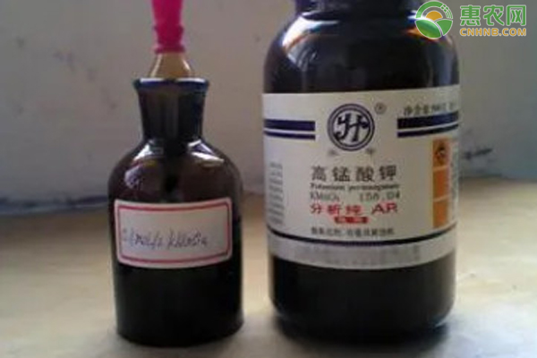 高錳酸鉀在養(yǎng)雞中的妙用-圖片版權(quán)歸惠農(nóng)網(wǎng)所有