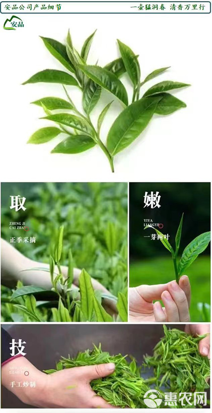 湘西高山绿茶/毛尖茶[原产基地直销]