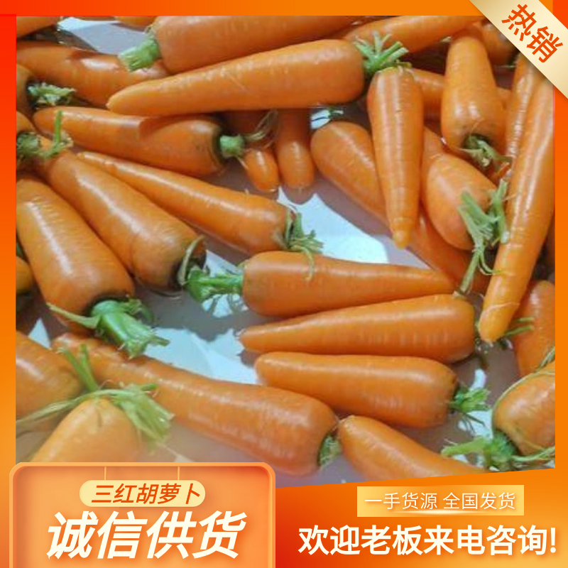 通许县产地新鲜红萝卜，大量上市，支持电商，市场，各种包装，水洗